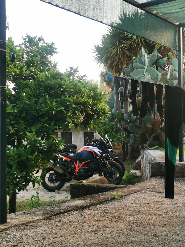 Motorräder am Kaktus in Kroatien beim Zelten