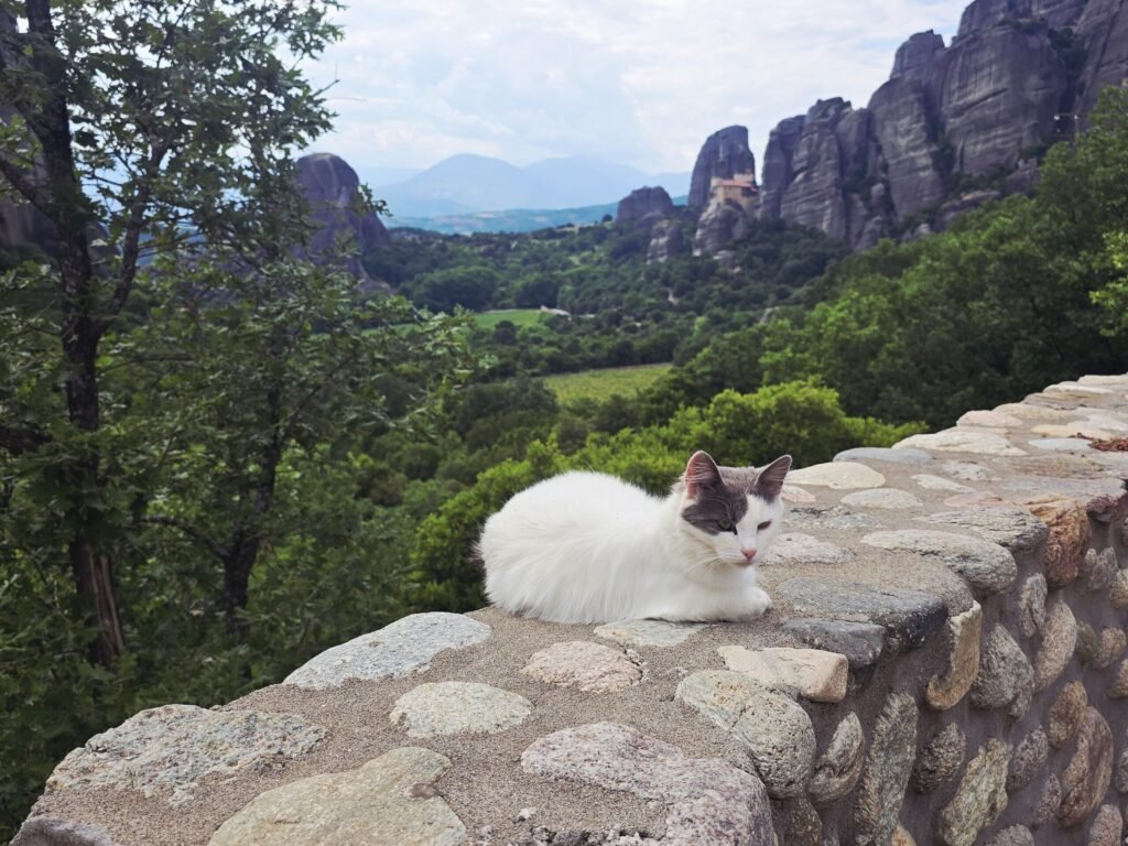Motorradfahrer genießen Panorama-Ausblick auf die Meteora‑Felsen und Klosteranlagen.