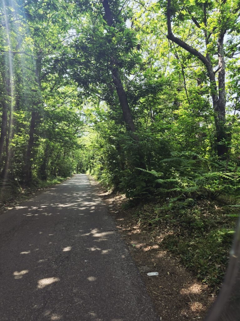 Naturkulisse am Skutarisee mit ruhigem Wasser und sanfter Landschaft
