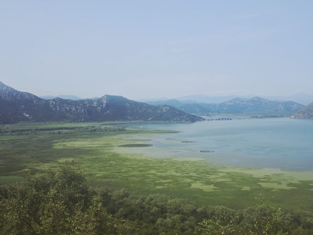 Bootsfahrt auf dem Skutarisee zwischen Seerosen und Natur