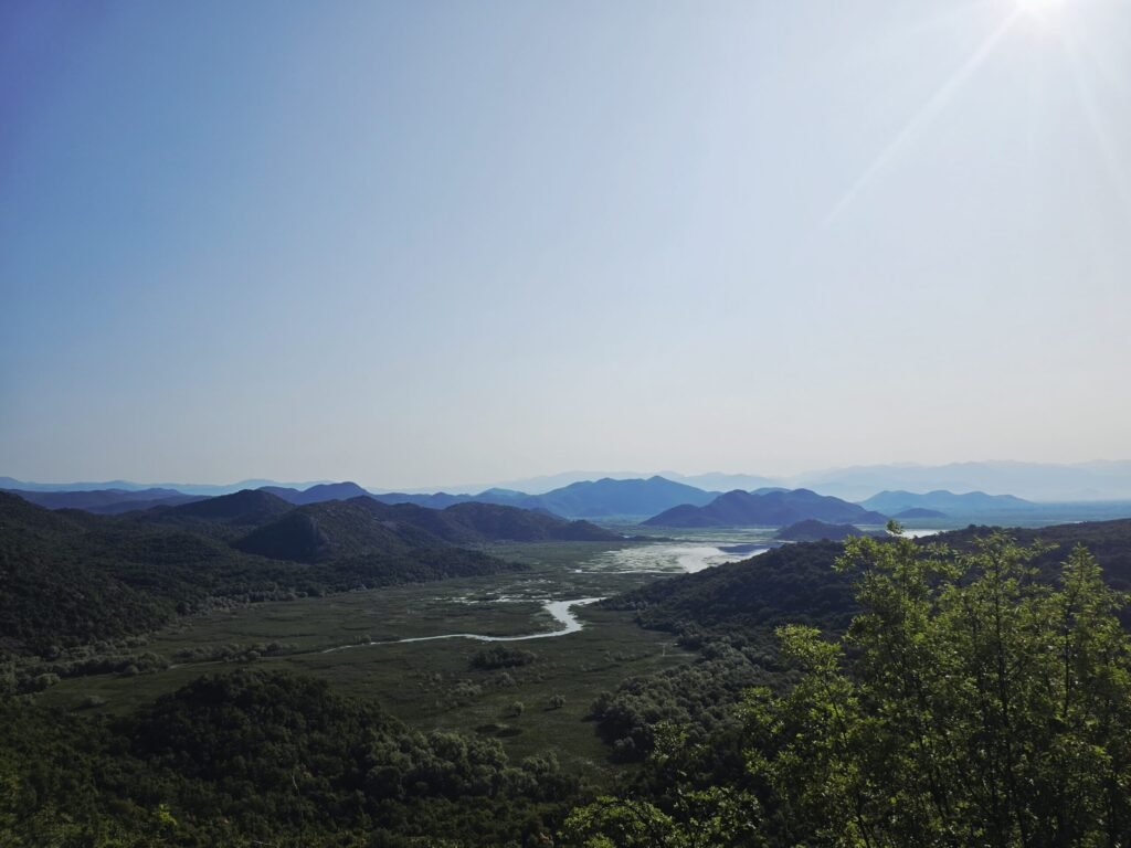 Ufer des Skutarisees mit dichter Vegetation und spiegelndem Wasser