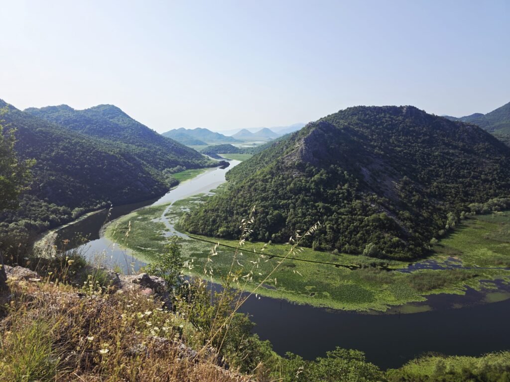 Blick über den Skutarisee mit grünen Hügeln und ruhigem Wasser