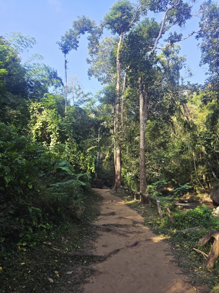 Berglandschaft und kurvige Straßen im Norden Thailands – perfekte Motorradroute.