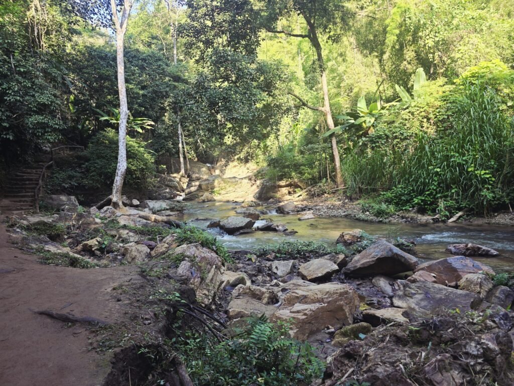 Motorradfahrt durch Bambuswälder und Bergpässe in Nordthailand.“