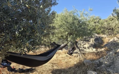 Unsere Hängematte: Drei Bäume, ein Netz und null Drama