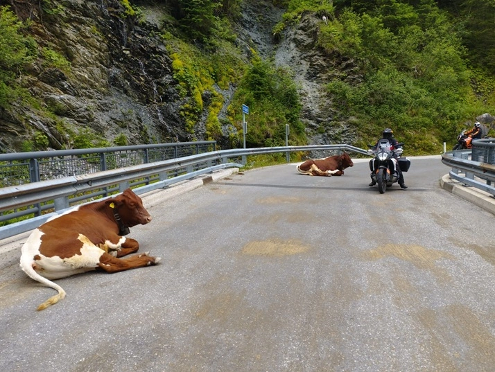 Klimakleber von Gerlos