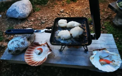 Campingkocher Miesmuscheln