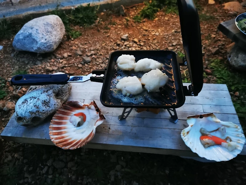 Campingkocher Miesmuscheln