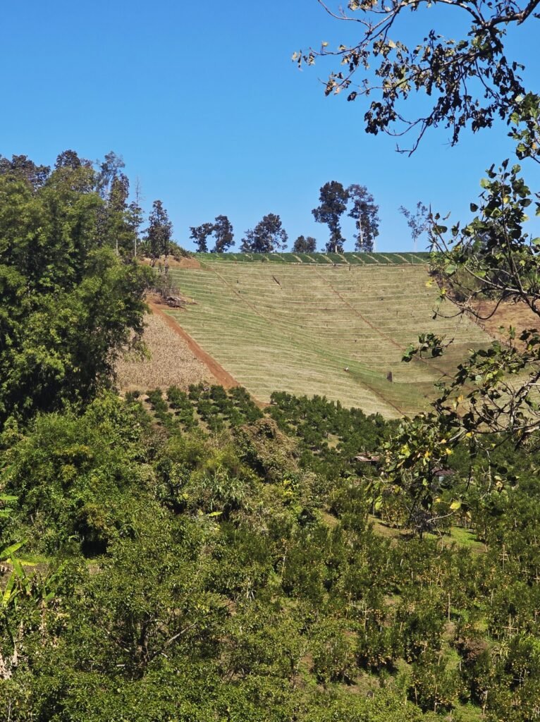 Blick ins Tal entlang der Route zwischen Chiang Mai und Pai