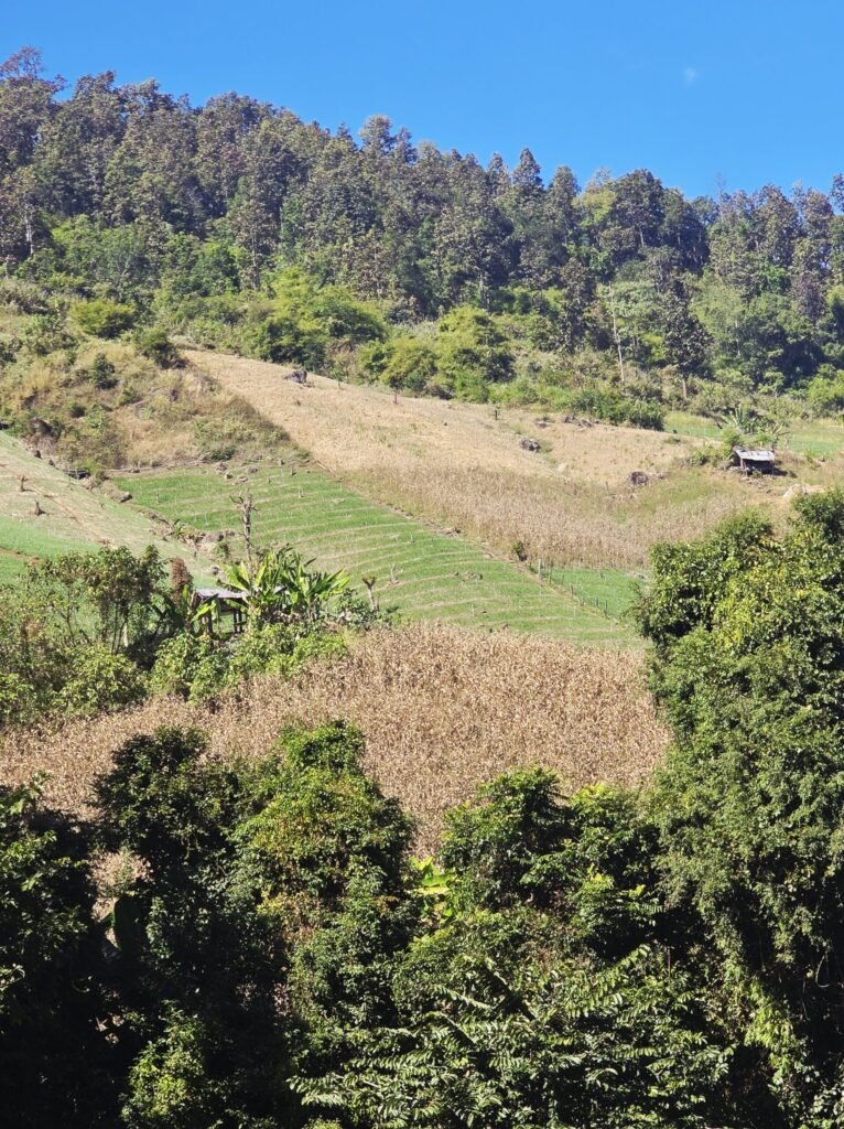 Staubige Offroad‑Strecke Richtung Doi Dam Viewpoint