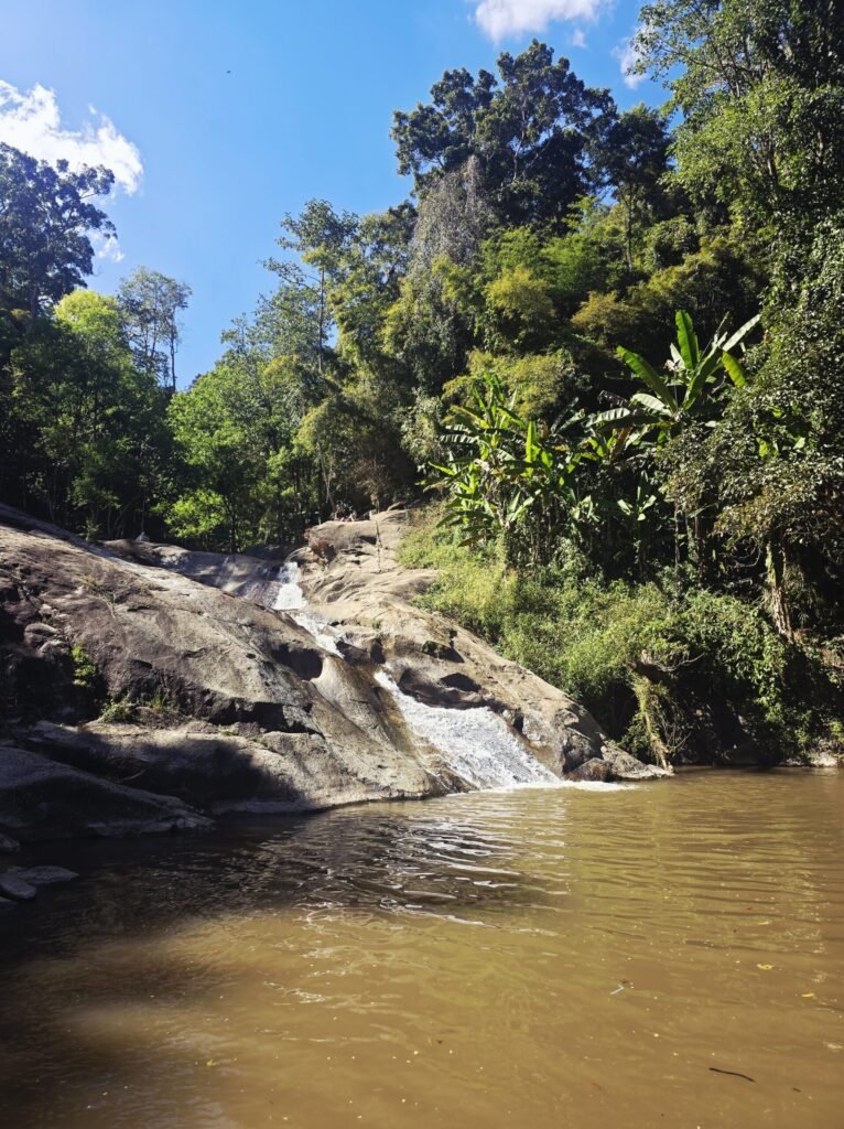 Bambuswald entlang der Offroad‑Piste zum Doi Dam