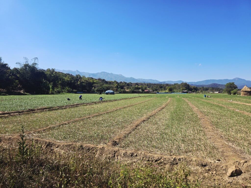 Aussichtspunkt Doi Dam mit Blick über die Berge an der Myanmar‑Grenze