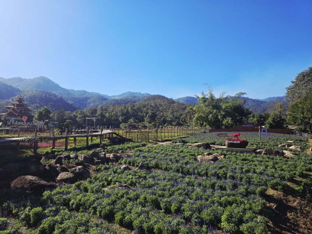 Holzsteg durch den Dschungel zum Mok Fa Waterfall