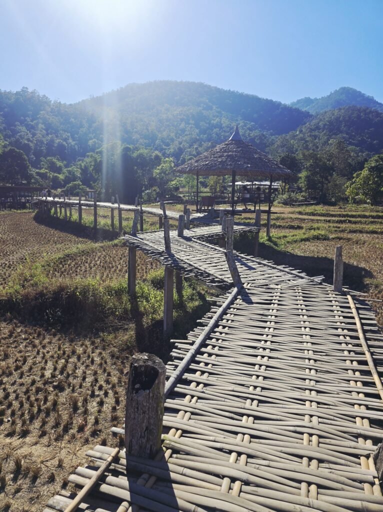 Motorrad vor einer Bambusbrücke in Pai