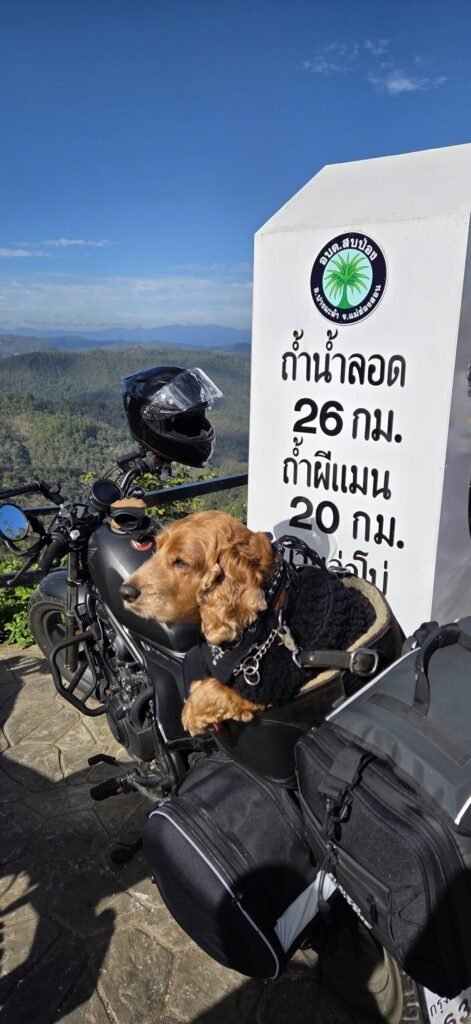 Kurvige Straße des Mae Hong Son Loop mit Blick auf die Berge