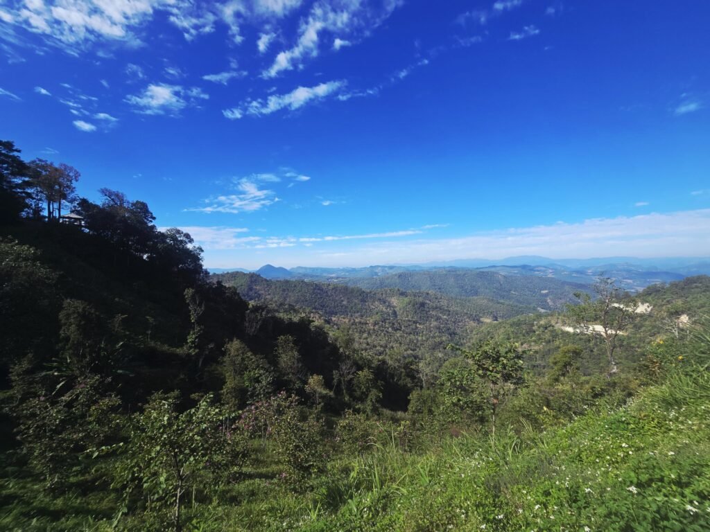 Berglandschaft im Norden Thailands mit dichtem Dschungel und kurvigen Straßen