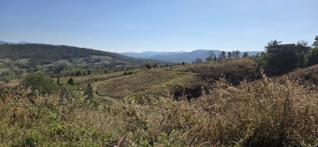 Staubige Offroad‑Piste mit Honda CRF300L im Vordergrund