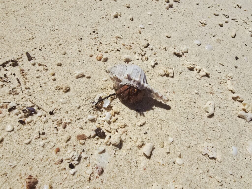 Einfacher Strandbungalow auf Koh Sukorn im Abendlicht