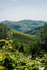 Dolenjska Weinregion Motorradtouren Slowenien Routen und Ideen