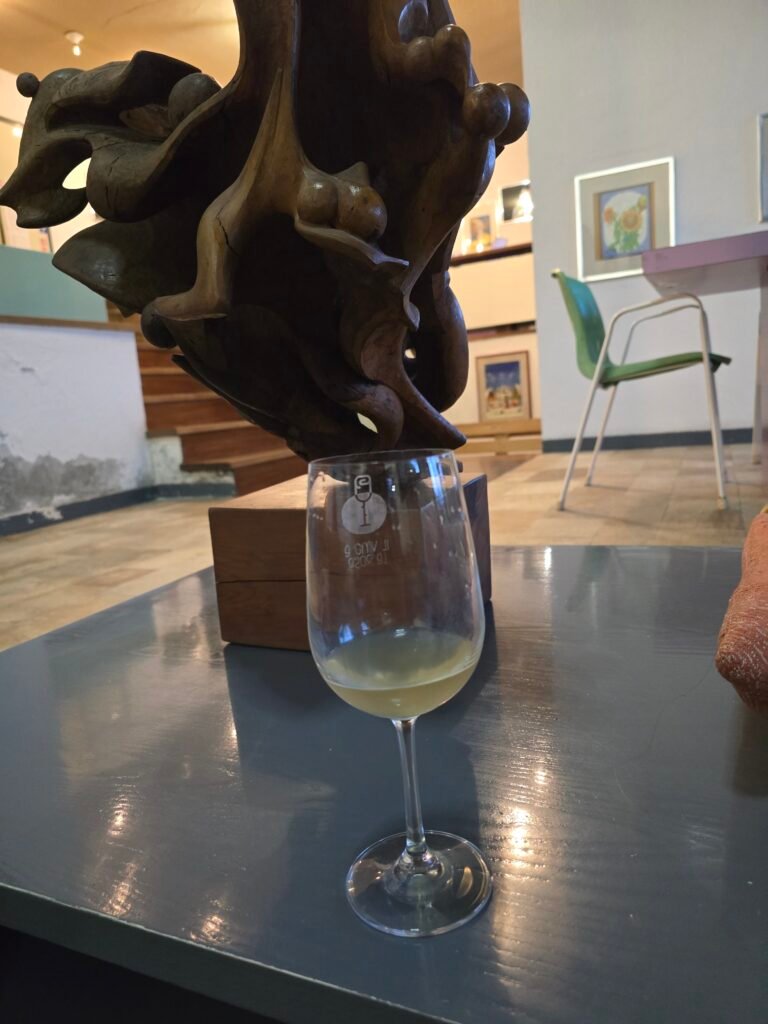 Hausgemachter vino