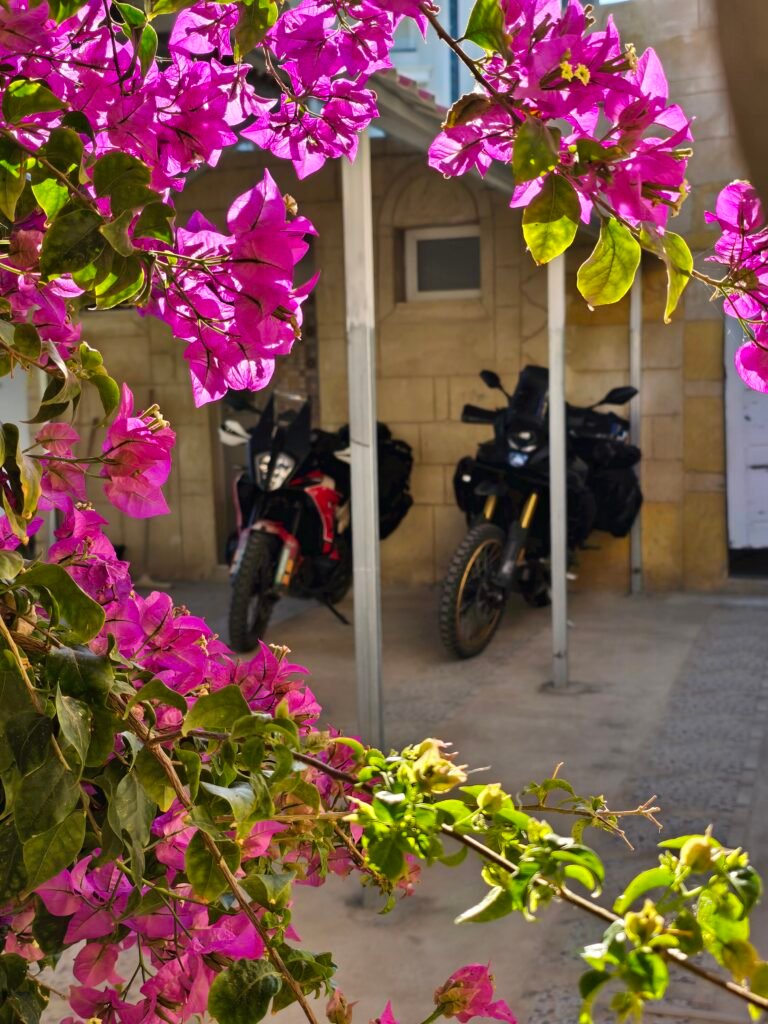 Houria Hous Sable d´or biker hous