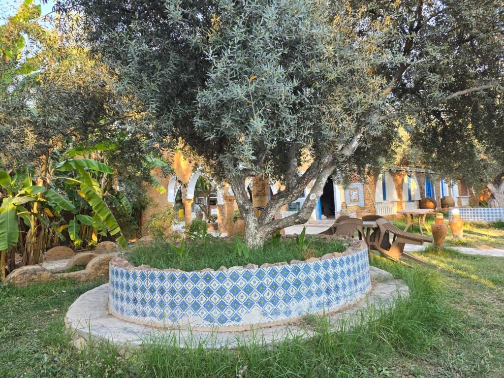 Gafsa