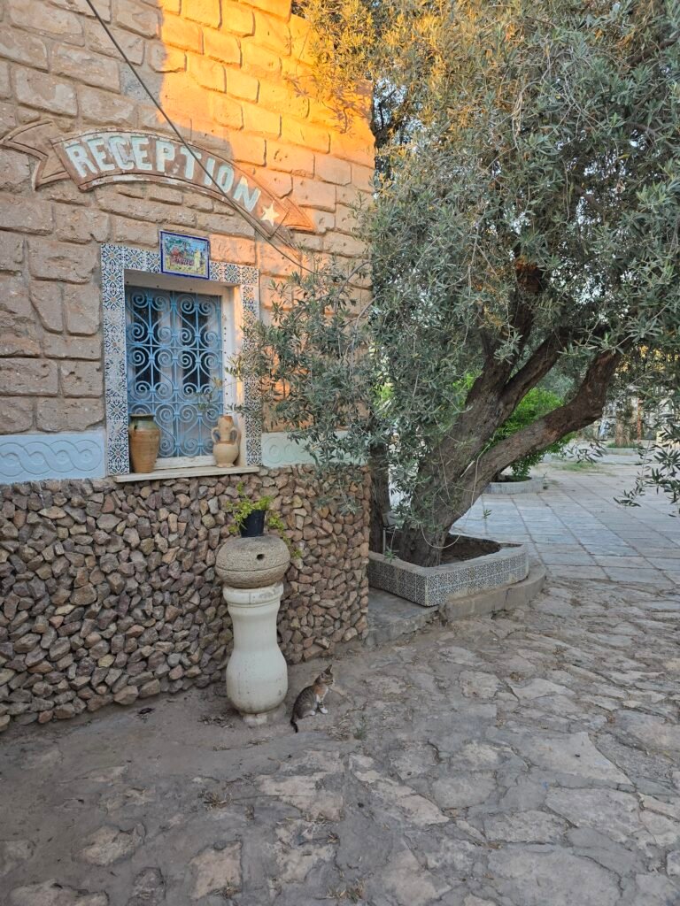 Gafsa Camping