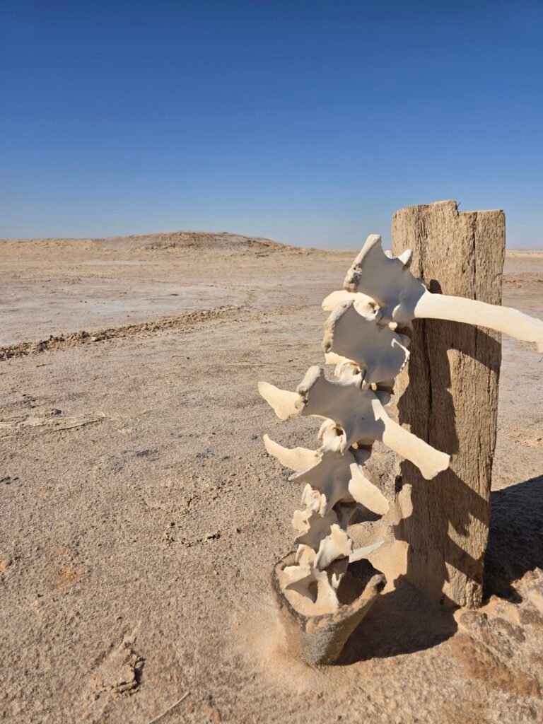 Chott el-Djerid Star Wars