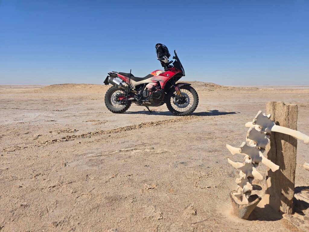 Chott el- Djerid Salzwüste KTM 790 Adventure