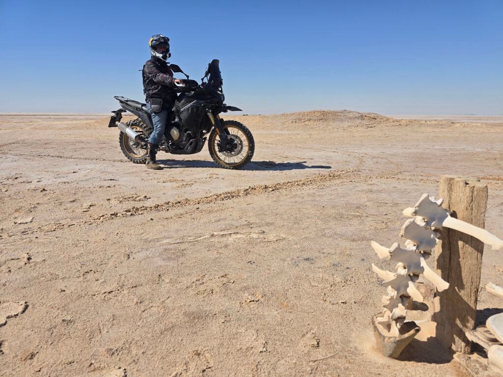 Chott el-Djerid Salzwüste voge 800 rally