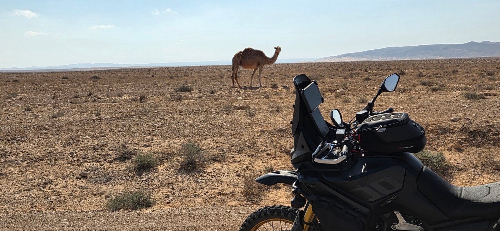 Steppe