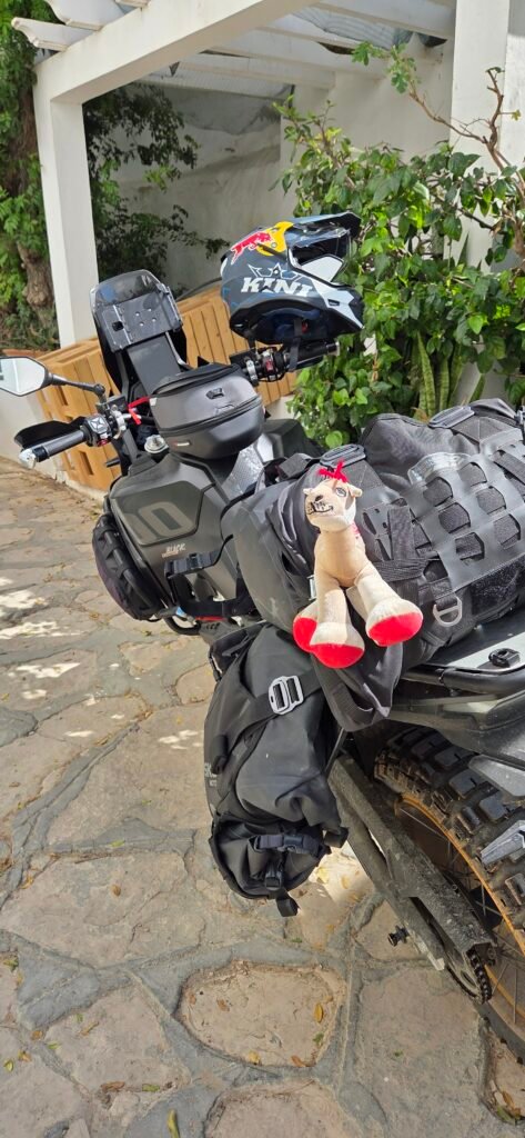 Tunesien Bike Motorrad Adventure Route Souvenir Camel Spaß